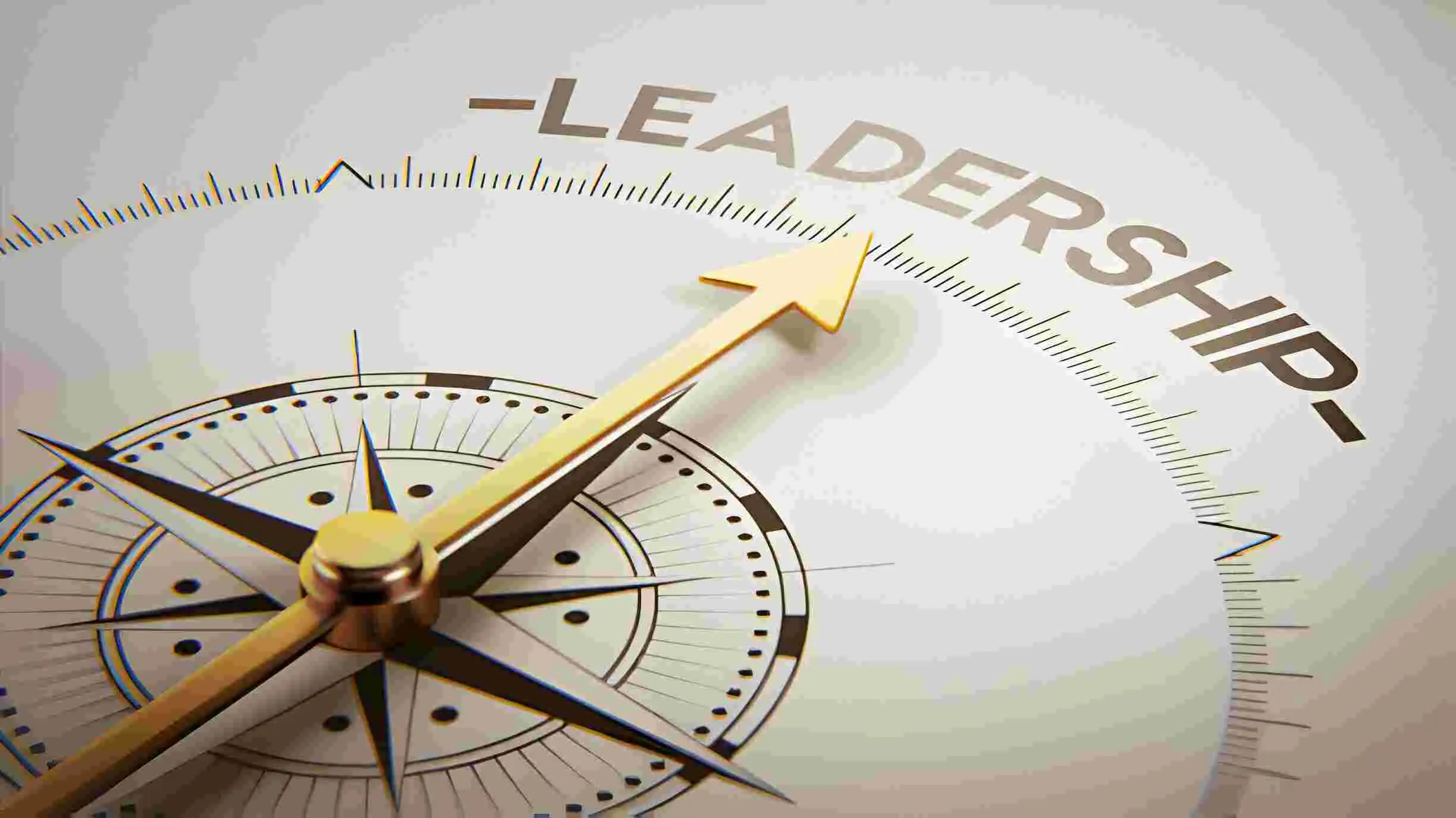 Operational quality and efficiency-leadership-Golden Compass Concept